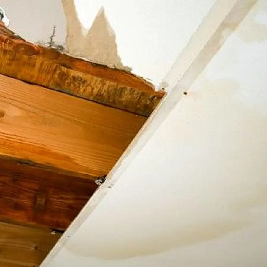 Ceiling leak traced in a Jackson Park home